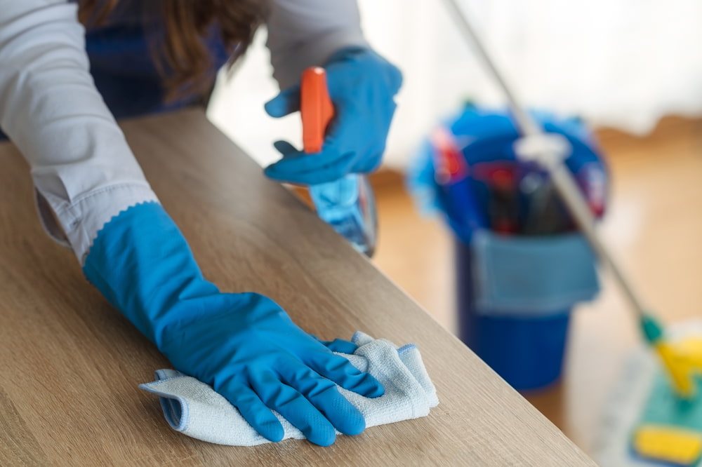 What are the different terms used in the cleaning industry