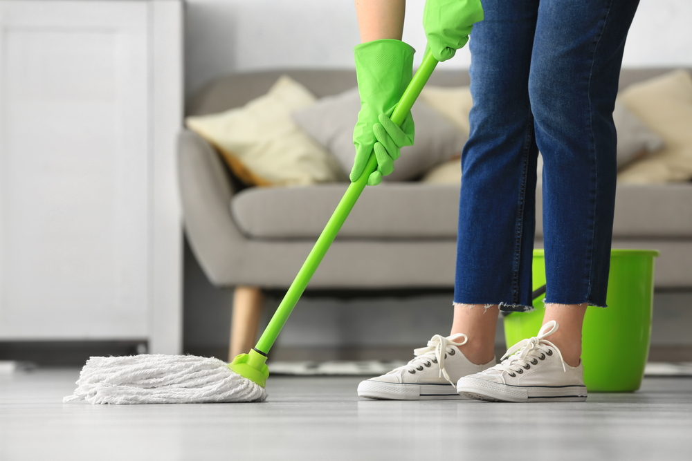 reliable house cleaners Fishers IN