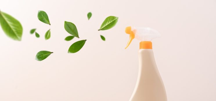 How do you maintain a green office