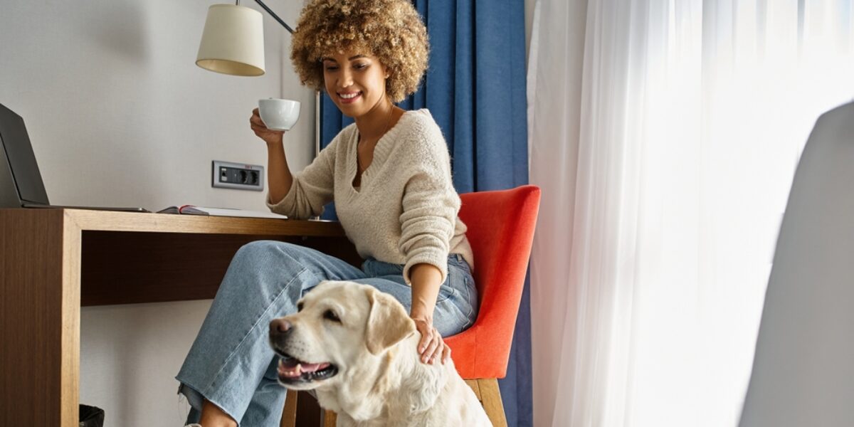 How to professionally clean an office that welcomes pets?