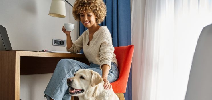 How to professionally clean an office that welcomes pets?